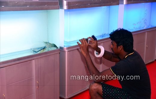 Aqua Aquaria India 2017 expo